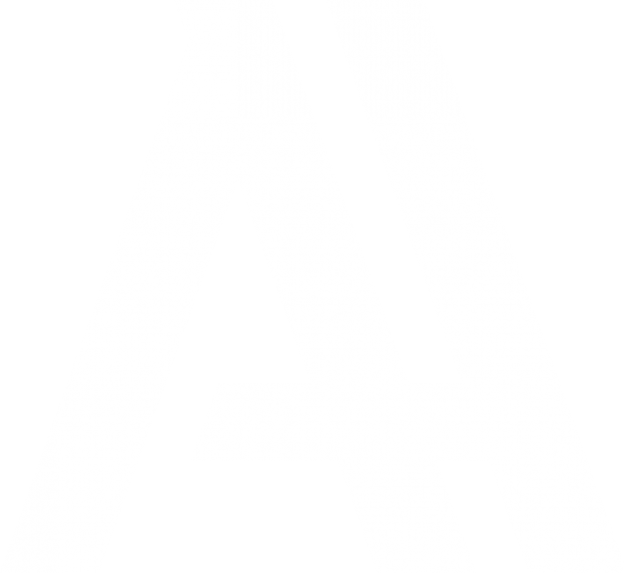 Pay AARS